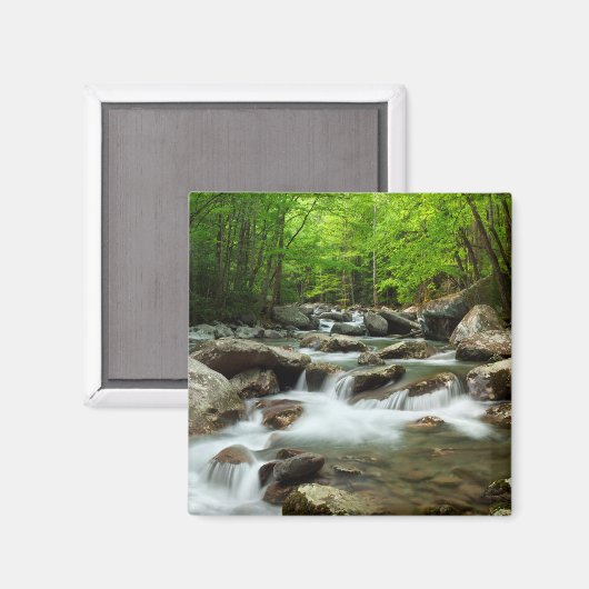Aimant Little Pigeon River à Greenbrier (Recto/Verso)