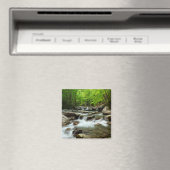 Aimant Little Pigeon River à Greenbrier (In Situ (Lave-vaisselle))