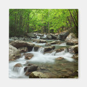 Aimant Little Pigeon River à Greenbrier (Devant)