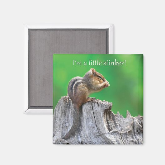 Aimant Little Stinker (Recto/Verso)