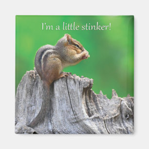 Aimant Little Stinker