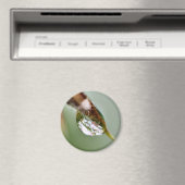 Aimant Little World Water Droplet (In Situ (Lave-vaisselle))