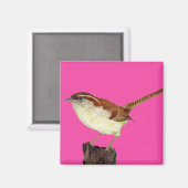 Aimant Little Wren (Recto/Verso)