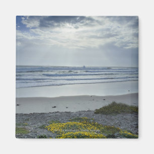 Aimant Littoral de l'Espagne avec les fleurs et les