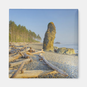 Aimant Littoral et stacks, Ruby Beach, Olympic