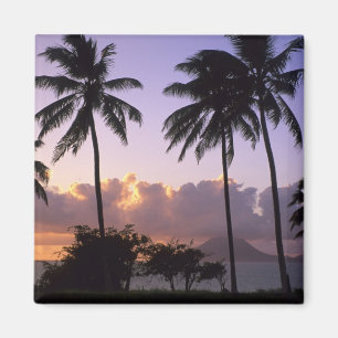 Aimant Littoral St. Kitts