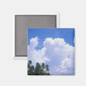 Aimant Littoral tropical (Recto/Verso)