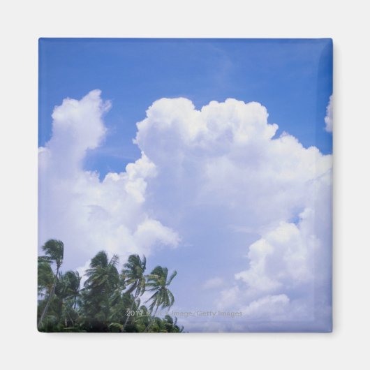 Aimant Littoral tropical (Devant)