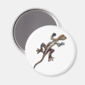Aimant Lizard-cuivre (Recto/Verso)