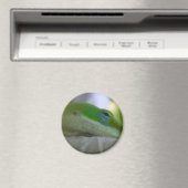 Aimant Lizard d'Anole Verte (In Situ (Lave-vaisselle))