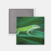 Aimant Lizard d'Anole Verte (Recto/Verso)