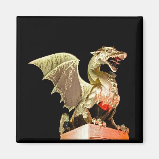 Aimant Ljubljana 01A (Devant)