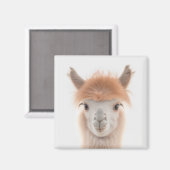 Aimant Llama Cute (Alpaca) | Collectable (Recto/Verso)