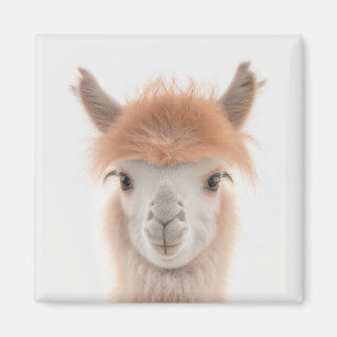 Aimant Llama Cute (Alpaca)   Collectable