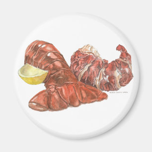 Aimant Lobster Tail