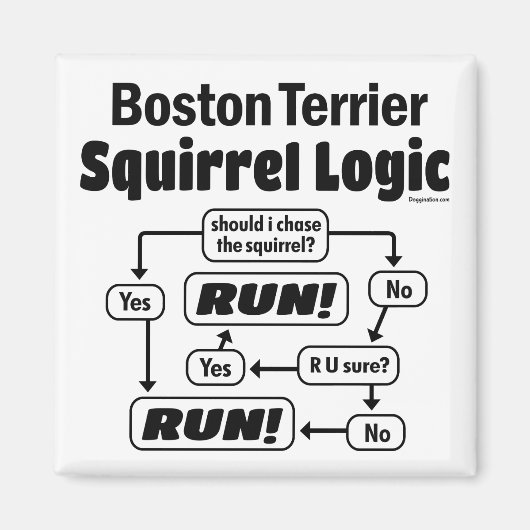 Aimant Logique des écureuils de Boston Terrier (Devant)