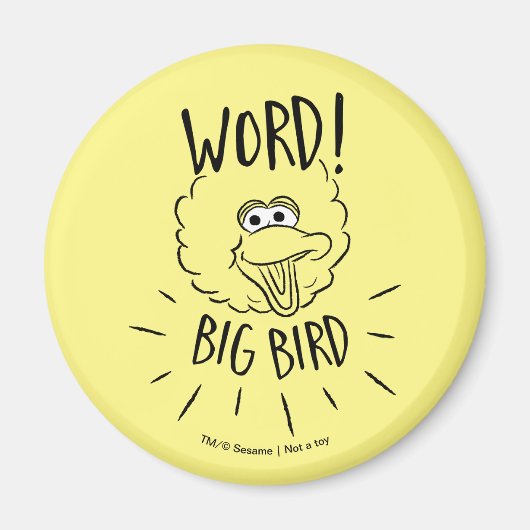 Aimant Logo Big Bird Skate - Mot ! Big Bird (Devant)