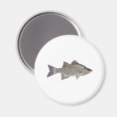 Aimant Logo de basse blanche (Recto/Verso)