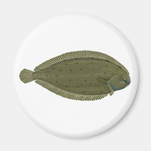 Aimant Logo de poisson unique (Devant)