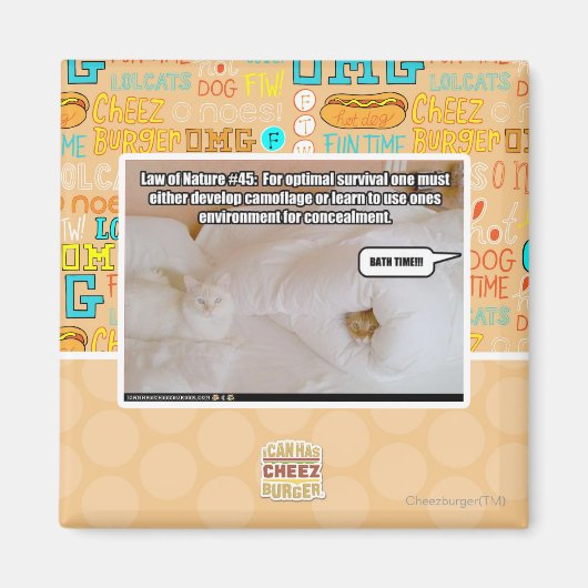 Aimant Loi de la nature #45 (Devant)