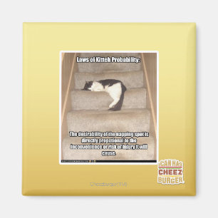 Aimant Lois de Kitteh Probabilité