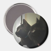 Aimant loking out the window (Recto/Verso)