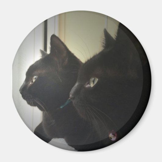 Aimant loking out the window (Devant)