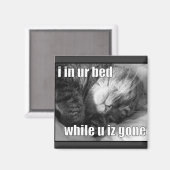 Aimant LOLCat 1 (Recto/Verso)