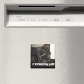 Aimant LOLCat 2 (In Situ (Lave-vaisselle))