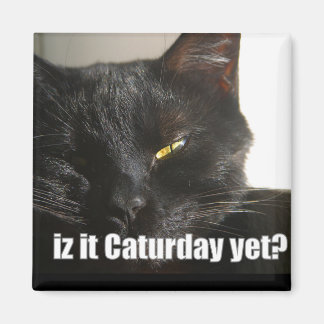 Aimant LOLCat 2