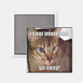 Aimant LOLCat 3 (Recto/Verso)