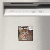Aimant LOLCat 3 (In Situ (Lave-vaisselle))