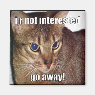 Aimant LOLCat 3