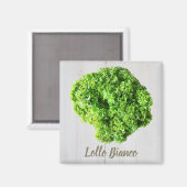 Aimant Lollo Bianco Salade feuilles de laitue pour Vegas (Recto/Verso)