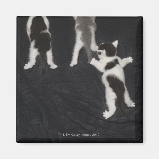 Aimant Londres, Angleterre, Royaume-Uni 2 (Devant)