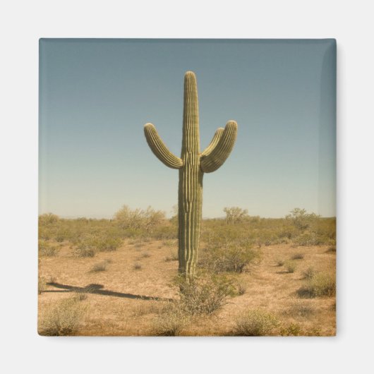 Aimant Lone Cactus (Devant)