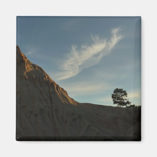 Aimant Lone Torrey Pine Californie Sunset Paysage (Devant)