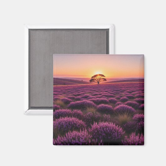 Aimant Lone Tree North York Moors National Park England (Recto/Verso)