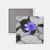 Aimant Lone Water Lily (Recto/Verso)