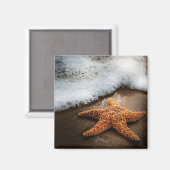 Aimant Lonely Starfish Sur La Plage (Recto/Verso)