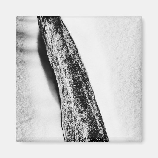 Aimant long froid dur solitaire (Devant)