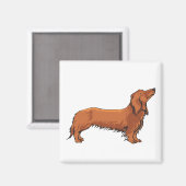 Aimant Long Haired Dachshund (Recto/Verso)