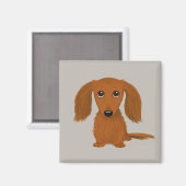 Aimant Long Haired Dachshund | Doxie mignon chien de dess (Recto/Verso)