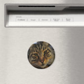 Aimant Long Haired Tabby Chat Artistique Portrait d'anima (In Situ (Lave-vaisselle))