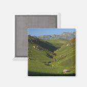 Aimant Longwall, Giant's Castle, Monts du Drakensberg, (Recto/Verso)