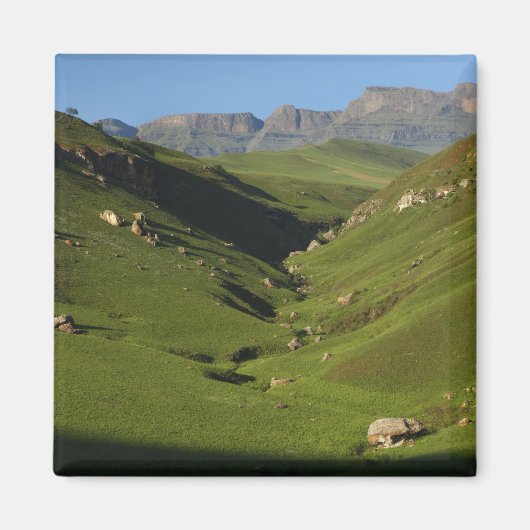 Aimant Longwall, Giant's Castle, Monts du Drakensberg, (Devant)