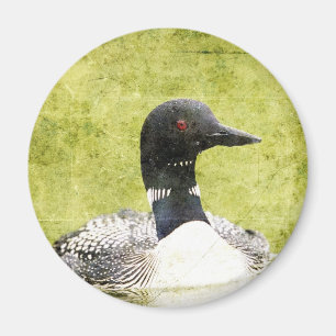 Aimant Loon