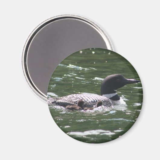 Aimant Loon Avec Bébés 2 (Recto/Verso)