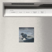 Aimant Loon commun du New Hampshire (In Situ (Lave-vaisselle))