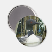 Aimant Loon sauvage (Recto/Verso)